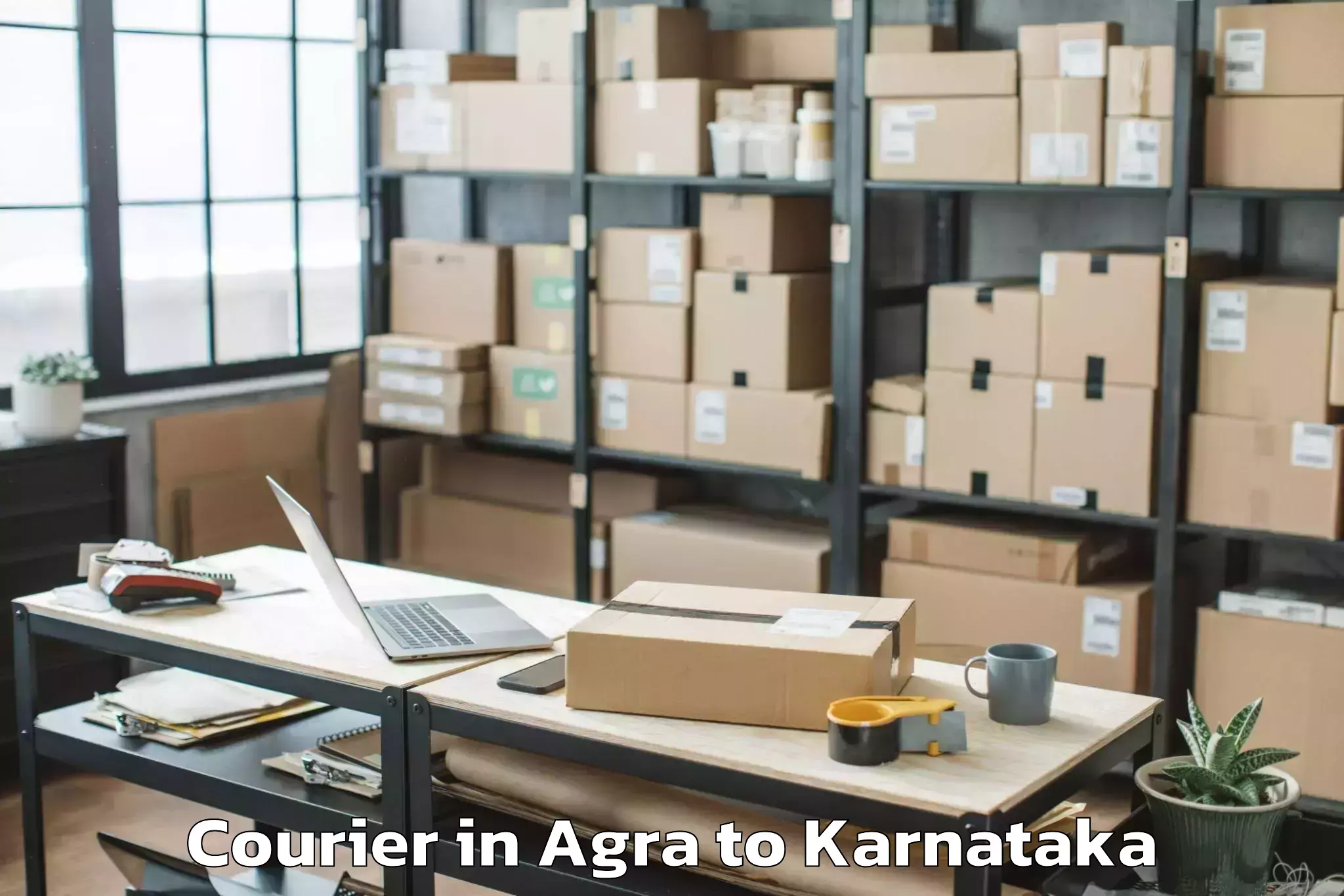 Easy Agra to Molakalmuru Courier Booking